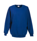 Blauer Sweatshirt mit Rundkragen und langen Ärmeln