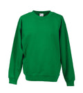Grüner Sweatshirt mit Rundkragen und Bündchen