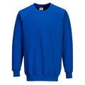 Kornblaufarbenes Sweatshirt mit Rundhalsausschnitt und langen Raglanärmeln, vorne